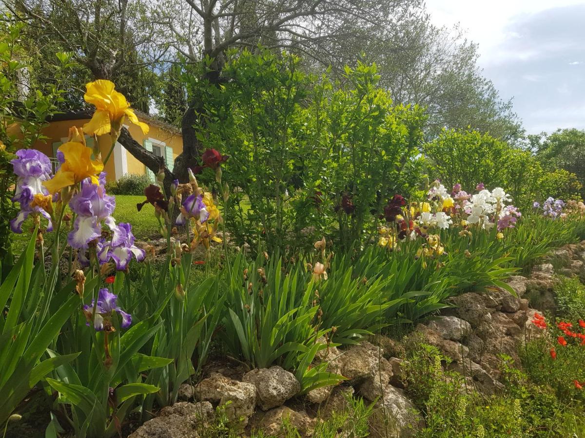 Maison Mimosa Salernes Dış mekan fotoğraf