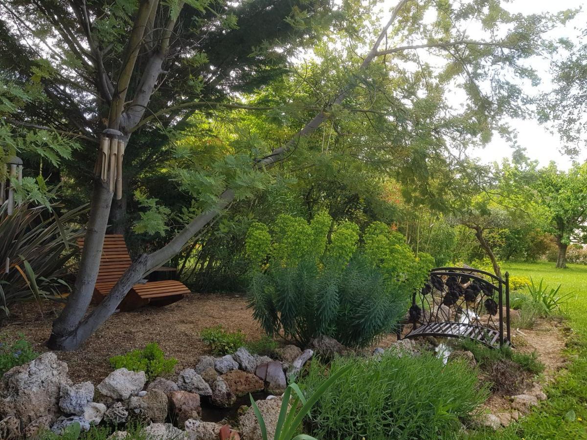 Maison Mimosa Salernes Dış mekan fotoğraf