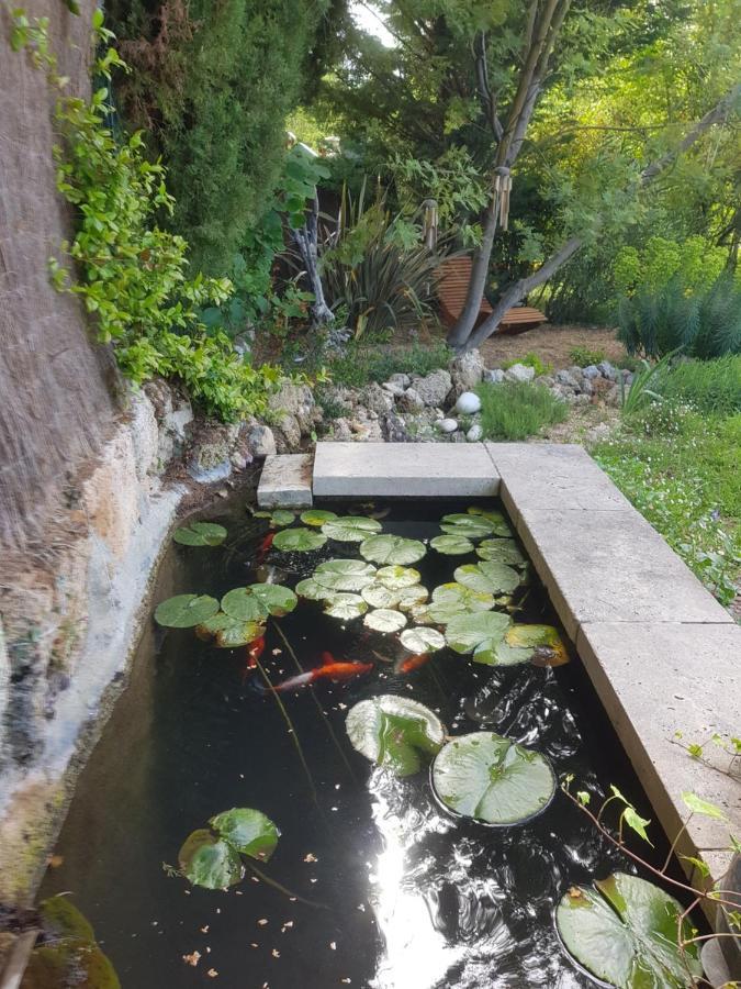 Maison Mimosa Salernes Dış mekan fotoğraf