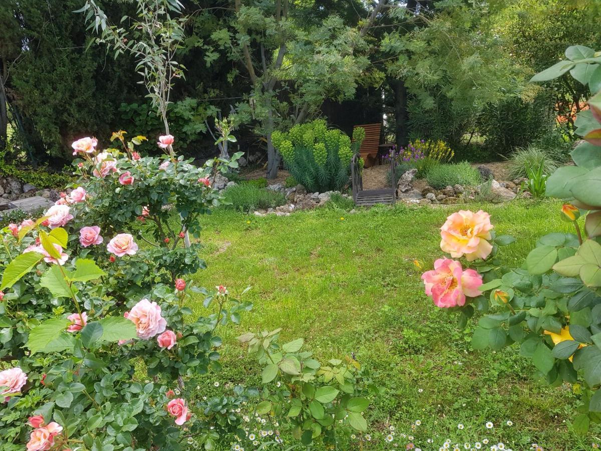Maison Mimosa Salernes Dış mekan fotoğraf